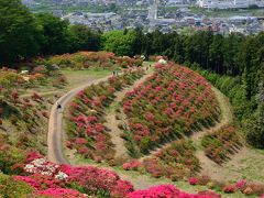 山一面を彩る紅い躑躅に魅せられて・・・ゴールデンウィークに「笠間つつじまつり」へ♪