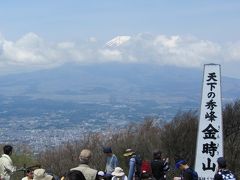 スミレだらけの山を歩く　～金時山～