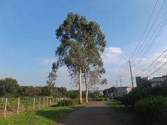 秋の浅川土手・小宮公園を散策 2015/10/13