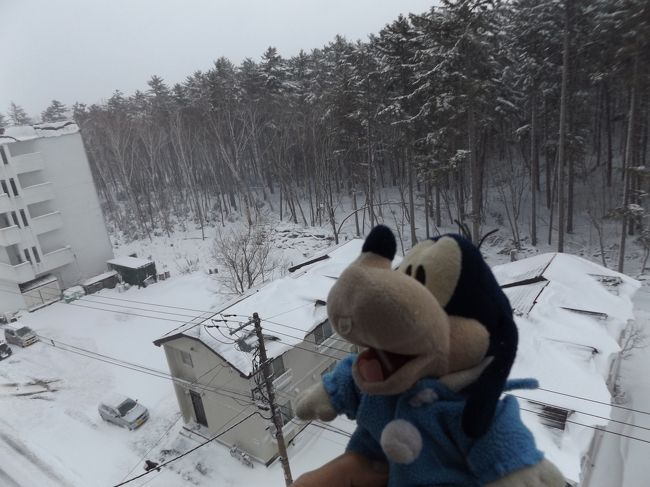 グーちゃんだよ。<br />道東の旅も３日目。<br />相変わらずの暴風雪に行き場を失ったグーちゃんは<br />隠しだまの大鵬相撲記念館へ！<br />そこではすっかり記憶から消えていた<br />迷横綱が！！<br />いったい誰？？？