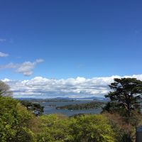 新緑の松島 1泊旅行