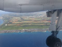 いつ行くの？今でしょ！？南大東島の旅