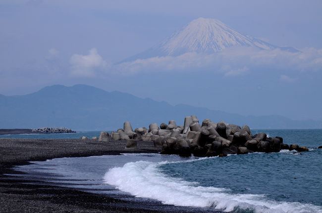 ４月２週目の週末、春の富士を眺めに駿河路を旅した。<br /><br />今回は、三保の松原と田貫湖に泊まり、富士を堪能する旅。<br />初日は三保の松原へ。<br /><br />三保の松原は、以前から訪れようとしていたのだが、先延ばしにしているうちに世界遺産に登録されてしまい、されに足が遠のいてしまった場所。<br />今回、休暇村富士に泊まり、富士を観たいという親の願いを叶えるついでに訪れてみた。