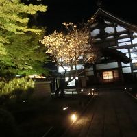 京都での同窓会（夜の祇園・八坂神社）