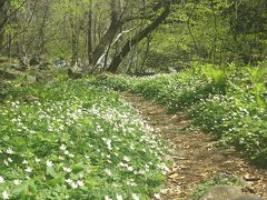 清里から花咲く春の飯盛山へ