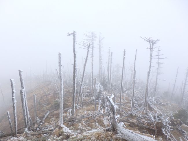 近畿地方の最高峰となります。<br />アクセスが悪く、しかも強風と霧できつい登山となりましたが、随所に魅力もあり楽しめました。