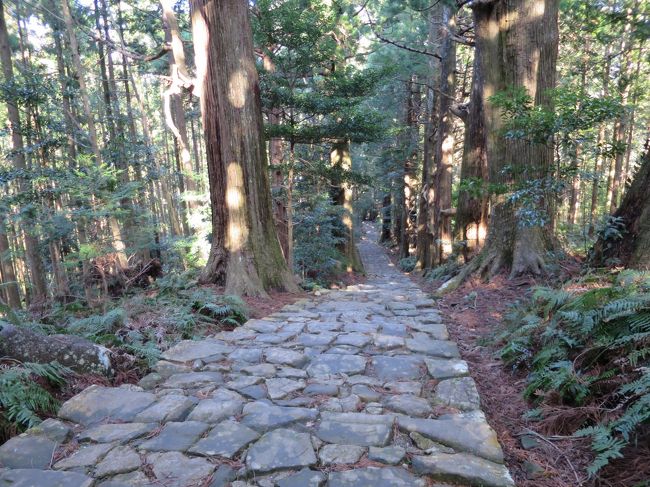 2か月前に参加した熊野古道トレッキングツアーで、熊野古道熱が一気に膨れ上がり、さっそく熊野三山詣でに繰りだしました！<br /><br />今回の旅では、ＪＲ東海から発売されている「南紀・熊野古道フリーきっぷ（中辺路コース）」利用を念頭にプランを計画し、巡り方を決めました。しました。このフリーきっぷには、ＪＲの特定区間と路線バスのフリー乗車券が付いていて、このきっぷ1枚で熊野三山を周遊できる、超々お得なきっぷなんです。<br />宿泊料はふるさと割も利用して、かなり値打ちに旅できました。<br /><br /><br />☆行程（スケジュール）☆<br />・1日目<br />名古屋駅(8:05)−特急ワイドビュー南紀１号−新宮駅(11:34-12:15)−熊野バス―冨士屋前バス停(13:15-13：31)−竜神バス−平岩口バス停(13:44)−700ｍ−三軒茶屋跡―1.9ｋｍ−祓殿王子−200ｍ−熊野本宮大社（15:00-16:00）−700ｍ−大斎原（16:10-16:30）−700m−本宮大社前バス停（16:48）−竜神バス−冨士屋前バス停（16:53）−ホテル（17:00）（泊）<br />・2日目<br />ホテル（8:50）−冨士屋バス停（8:58）−熊野バス−権現前バス停（9:55）−熊野速玉大社（10:05-10:25）−権現前バス停（10:34）−熊野バス−勝浦駅バス停（11:17）−昼食（11:30-12:00）−勝浦駅バス停（12:10）−熊野バス−那智の滝前バス停（12:35）−300m−那智の滝（12:40-12:55）−900m−熊野那智大社＆青岸渡寺（13:15-14:00）−400m−大門坂（14:20-14:50）−1.1km−大門坂駐車場前（15:01）−熊野バス−那智駅バス停（15:12）−補陀落寺（15:20-15:40）−那智駅バス停（16:02）−勝浦駅（16:10-17:10）−特急ワイドビュー南紀8号−名古屋駅（20:48）