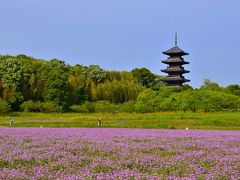 青嵐薫風 吉備路逍遥⑤古墳群・備中国分寺