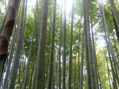 イングリッシュガーデンで美味しいランチ＆美しい竹林＆サンセットの江ノ電・・・大混雑の鎌倉