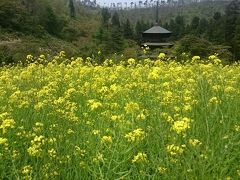 安久津八幡神社、神々しい空間でした