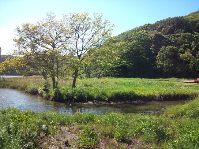 週間天気予報は荒れ模様でしたが、ＧＷのなか日は、<br />以前から気になっていた「京急みさきまぐろ切符」で日帰りの旅に出ました。<br />