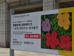 【横浜美術館】こどもの日、無料開放！みなとみらい散歩。花がきれいに咲いていました。