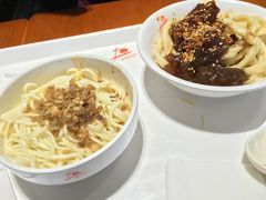 パンダと麻婆とそして猫 GW成都珍道中 その７