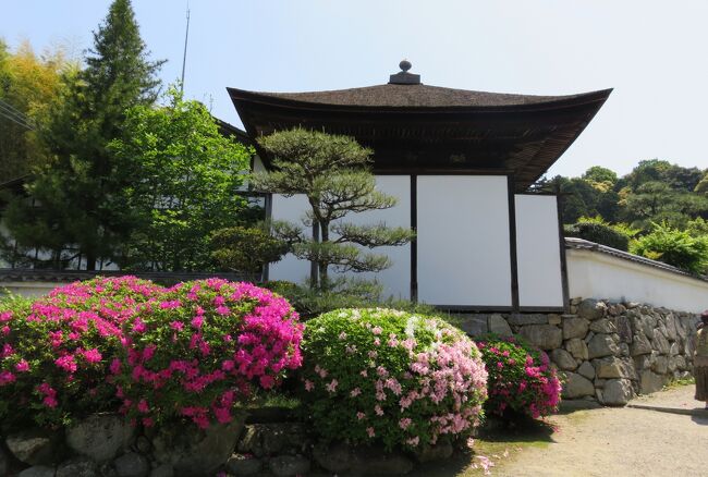日帰りバスツアーに参加しての奈良のお寺の花巡りです。ツツジの長岳寺、ボタンの長谷寺と、シャクナゲの室生寺を巡りました。最初は長岳寺のツツジの紹介です。池のカキツバタも満開でした。