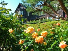 東京ぶらり散歩　☆みどりの日は庭園に行こう！　バラの咲く旧古河庭園と新緑の六義園☆