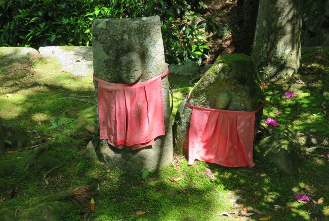 奈良のお寺の花巡り、天理の古刹・長岳寺のツツジとカキツバタのなどの紹介です。アジサイによく似た大手毬や、水芭蕉に近縁のカラーの白い花も満開でした。