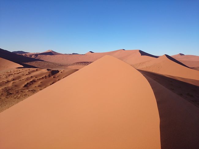 GWに1日休暇を取って7連休でナミビアとレソトに行ってきました。<br />2日目から4日目は今回の旅のメインのナミブ砂漠！現地ツアーで最奥部のソススフレイ（Sossusvlei）に行って「Dune45」や「Dead Vlei」を見てきました。ナミブ砂漠は今まで見た砂漠の中でも最も「砂漠らしい砂漠」という印象でした。<br /><br />＜旅程＞<br />【1日目(4/29金)】<br />　中部10:30→シンガポール16:20（SQ671＝シンガポール航空）<br />【2日目(4/30土)】<br />　シンガポール2:10→ヨハネスブルグ6:55（SQ478）<br />　ヨハネスブルグ9:30→ウィントフック10:25（SA74＝南アフリカ航空）<br />　ナミブ砂漠ツアー1日目<br />【3日目(5/1日)】<br />　ナミブ砂漠ツアー2日目<br />【4日目(5/2月)】<br />　ナミブ砂漠ツアー3日目<br />　ウィントフック15:00→ヨハネスブルグ17:45（SA77）<br />　ヨハネスブルグ20:50→ダーバン21:55（SA585）※遅延<br />　ダーバン泊<br />【5日目(5/3火)】<br />　レソトツアー<br />　ダーバン泊<br />【6日目(5/4水)】<br />　ダーバン6:15→ヨハネスブルグ7:20（JE242＝マンゴー航空）<br />　ヨハネスブルグ17:20→<br />【7日目(5/5木)】<br />　→香港12:25（SA286）<br />　香港14:00→中部19:00（NH876＝全日空）