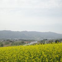 春の奥信濃（飯山～野沢温泉）