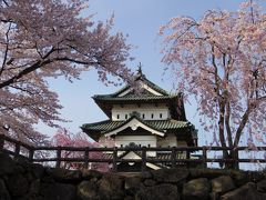 桜追いかけて津軽～三内丸山遺跡と弘前さくらまつり～①