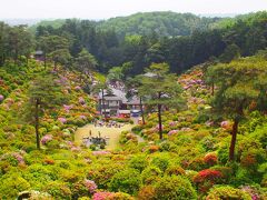 念願の塩船観音寺　もこもこツツジに会いたくて