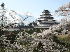 南東北の桜を訪ねる１　会津鶴ヶ城の桜