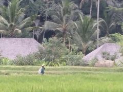 バリ島2016　ウブドあっちこっち