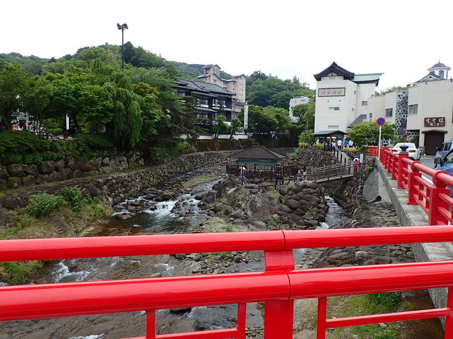 チェックインにはちと早すぎる…>_<…<br /><br />修善寺温泉街をまわってみよーっと!