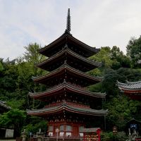 仙台，東京，福山と移動する苛酷な出張2-福山へ，福山城，明王院，ホテルエリアワン広島ウィング