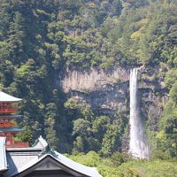 パンダ！クジラ！温泉！熊野三山！2016 GW和歌山周遊旅行　2016.4.30-5.3　Vol.1　