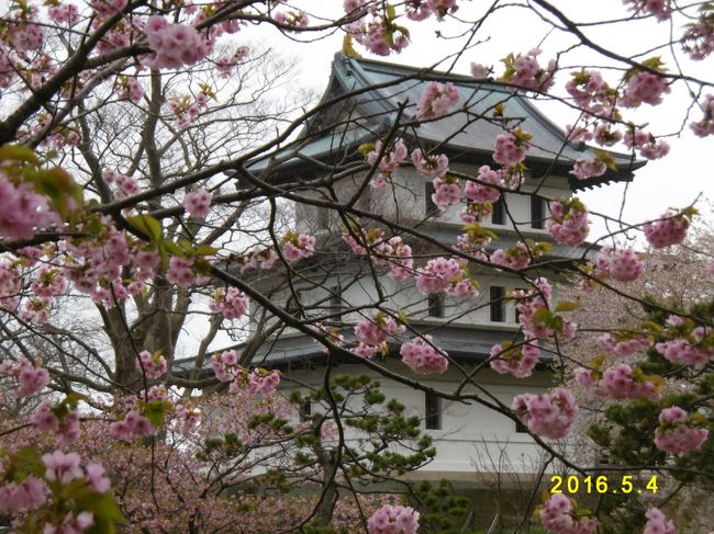 2日目<br /><br />寿都町（すっつ）の道の駅　→　⑥島牧村の道の駅　→　⑦せたな町の道の<br /><br />駅　→　⑧乙部町の道の駅　→　⑨厚沢部町の道の駅　→　⑩江差町の道の<br /><br />駅　→　⑪上ノ国町の道の駅　→　⑫松前町の道の駅　→　⑬福島町の道の<br /><br />駅　→　⑭知内町の道の駅　→　知内（しりうち）温泉<br />　<br /><br />松前公園で、思いがけずに、まだまだ見ごろの桜を見ることができました<br />ヽ(^。^)ノ<br /><br />今回の車中泊旅行は、初日に行った「神威岬」が一番の楽しみで、桜は見れたらいいな～・・くらいの気持ちでした。<br /><br />が、見れました！<br />得した気分ですヽ(^。^)ノ<br /><br /><br />２日目訪れた道の駅：９つ<br />２日目走行距離　　：約２８０km<br /><br />３日間で訪れた道の駅：２７<br />３日間走行距離　　　：１１０６．７km