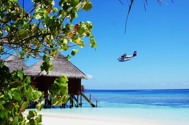 I M Home Maldives Mirihi Island Resort Pt 1 アリ環礁 モルディブ の旅行記 ブログ By Puyomushiさん フォートラベル