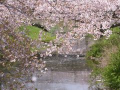 桜と東武動物公園