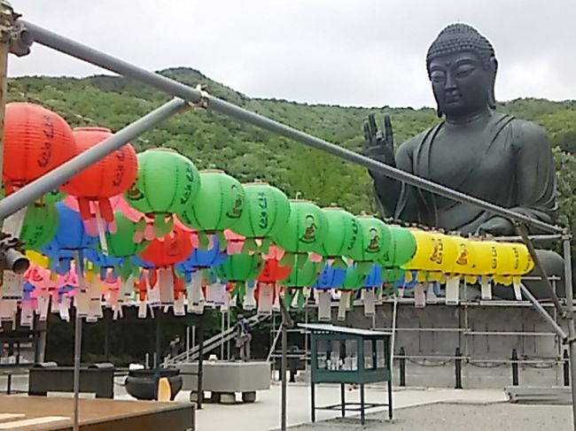 韓国が大好きで、韓国全国の寺院、名所旧跡、自然景勝地などを巡り、<br />毎月1人旅を楽しんでいます。<br />今回の目的地は、&quot;美しい神秘の島ウルルンド鬱陵島&quot;と&quot;燃灯祭りの三光寺&quot;。<br />鬱陵島は、2002年に読んだNHKの韓国語講座のテキストに島の紹介記載があり、<br />ずっと行きたいと思っていました。<br />8泊9日の長期間滞在で、ようやく鬱陵島に行って来ました。<br />鬱陵島に対する情報が少なく、実際に上陸した人の投稿記事を読むと、<br />船に乗る前に取り調べがあり写真を撮られた、<br />鬱陵島に着いたら警察が待っていてまた取り調べられ、<br />警察の指定する宿泊場所に連れて行かれた、<br />とあり若干心配でしたが、何事もありませんでした。<br />2～3泊の予定が、天候の影響で船欠航の確定情報があり、1泊だけ。<br />2012年にアメリカCNNに韓国の美しい景色TOP50に選ばれた三光寺。<br />去年初めて燃灯祭りの時期に三光寺に行き、<br />ライトアップされた夜のお寺が美しく、すごく感動しました。<br />GW期間はちょうど釈迦誕生日の前なので、再び感動を求めて行って来ました。<br />8泊のうち初日と最後の日のみソウルのゲストハウスを予約(\2,497/1泊)、<br />4泊はチムジルバンで泊まりました。<br /><br />チェジュ航空利用。12月中旬にHPから予約し、航空券代金￥25,910。<br /><br />現地で使用したお金は、6泊分の宿代、交通費、食費、お土産代、安物の服等で約6万5千円。<br /><br />0日目：4/28(木)　成田スカイコートホテルに前泊<br />1日目：4/29(金)　チェジュ航空で成田→仁川　ソウル弘大ゲストハウス泊<br />2日目：4/30(土)　ソウル→東海トンヘ移動　東海の旅館に泊<br />3日目：5/ 1(日)　墨湖灯台　東海墨湖港13時発鬱陵島行き乗船　鬱陵島泊<br />4日目：5/ 2(月)　鬱陵島16：20発墨湖港行き乗船　東海チムジルバン泊<br />5日目：5/ 3(火)　東海→釜山移動　三光寺　釜山チムジルバン泊<br />6日目：5/ 4(水)　釜山チムジルバン泊　<br />7日目：5/ 5(木)　釜山→天安移動　天安チムジルバン泊<br />8日目：5/ 6(金)　覚願寺　天安→ソウル移動　ソウルゲストハウス泊　<br />9日目：5/ 7(土)　チェジュ航空で仁川→成田帰国