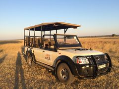2015アフリカの旅③ ボツワナでサファリ、サファリ、サファリ、そしてそこで見たものは。