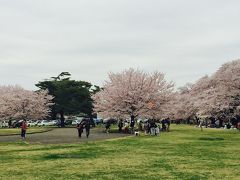 2016年4月　川越市場場外でランチ＆狭山稲荷公園で花見