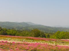 2016GW　とびしま海道ドライブと世羅の花畑　その２：世羅高原の花畑編