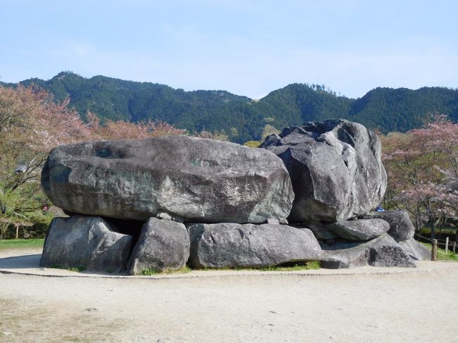 　ツアーで奈良の桜めぐりをしました。<br /><br />　吉野6時間自由散策、談山神社を見た後に石舞台古墳に来ました。<br />私はどちらかと言うとひなびた所にあるのだろうと思っていましたが<br /><br />　添乗員さんから今年は桜の開花が早かったので、こちらの桜は終わっていますと案内がありました。<br />ちょっと残念。<br /><br />　石舞台古墳は、広い公園の中にあったので少々ビックリ。<br />それと拝観料が要るんですね。<br />私はてっきり無料だと思っていました。<br />管理しなければいけませんものね。<br /><br />　古墳は思っていたよりも大きかったです。<br />ソメイヨシノが咲いている頃だったらもっときれいだっただろうな・・と思いました。<br />