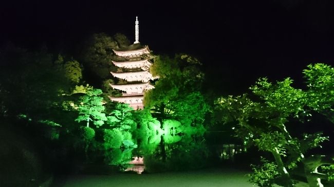 以前から、見てみたかった香山公園のライトアップされた五重塔を見に行って来ました。<br /><br />翌日は、道の駅ソレーネ周南へ。<br />素敵なお花と出会い、母の日のプレゼントとして、花好きな母親に、喜んでもらえました♪