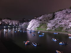 東京桜紀行2016