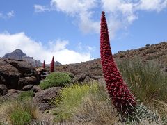 テネリフェ島の旅行記