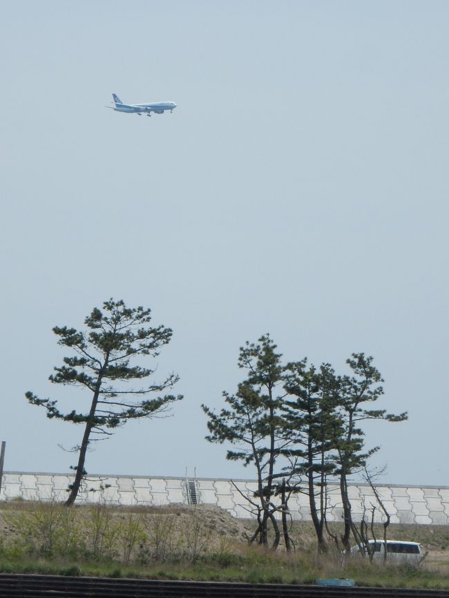 2016年5月3日～6日に、東北太平洋岸４県(青森・岩手・宮城・福島)をレンタカーで旅行しました。<br /><br />震災前後にも行く機会のあった地域に加え、名前だけは知っていても未訪問だった地域も多数。<br />うまいものをたらふく食べて地域貢献しつつ、復興の状況が実際にはどのようなものなのか、そしてその教訓から学ぶべきことを探すことを主眼に置いた旅でした。<br /><br />※震災の遺構なども、現状をありのままに伝える意味で掲載いたします