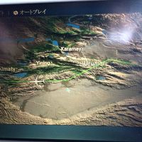 2016GWウズベキスタン一人旅　1日目＊タシュケントへ移動＊