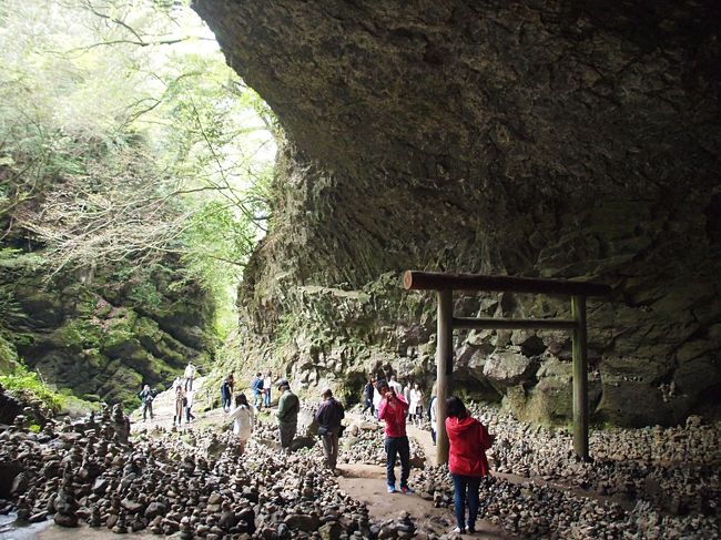 天孫降臨の地と言われる高千穂へ。<br />その地に、天照大神が弟 スサノオの悪事に怒り、引きこもってしまった洞窟をご神体とする神社があると知り、行ってみました。<br /><br />神話とはいえ、こんな風に古事記に登場する場所が存在しているのは大変興味深いです。九州、面白い!!