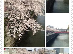 品川近隣の桜の穴場巡り PART?