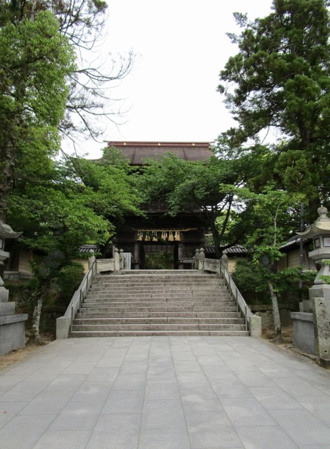 「ちはやふる 香椎の宮の 綾杉は 神の みそぎに たてるなりけり」<br />・・・・の香椎宮です。<br /><br />福岡市東区にある香椎宮。神亀元年(724)、奈良朝廷の意向を受け創建<br /><br />14代天皇、仲哀天皇九年(1800年前)に神功皇后自らが祠を建て、仲哀天皇の神霊を祀ったのが起源という由緒ある神社で、日本に16ある勅祭社の一つ。<br /><br />勅祭社(ちょくさいしゃ)とは、祭礼に際して天皇により勅使が遣わされる(これを勅祭という)神社のこと。<br />http://kashiigu.com/publics/index/20/ <br /><br />香椎宮の大祭は、10月29日の例祭をはじめ、祈年祭・新嘗祭、春秋の氏子大祭。<br /><br />7世紀ごろは、朝廷が尊崇する神社は1番が伊勢神宮、2番が香椎宮、3番が宇佐神宮、という順序だったのだそうです。<br />