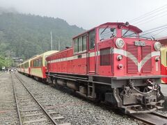 2016年GW 阿里山森林鉄道と3回目の台湾一周鉄道の旅（3）阿里山森林鉄道乗り鉄編