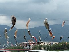 さわやかウォーキング「相川に泳ぐ350匹の鯉のぼりと子供歌舞伎の垂井曳やままつりを訪ねて」に参加しました