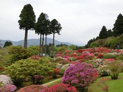 新緑とつつじの箱根旅行