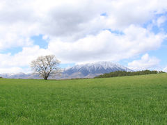 小岩井の旅行記