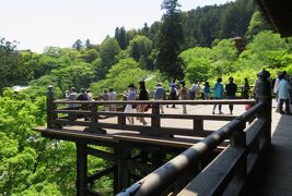 2016春、奈良のお寺の花(9/17)：長谷寺(3)：牡丹、一茶句碑、本堂、大悲閣